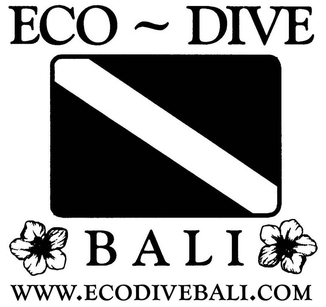  - Eco-dive-bali-logo