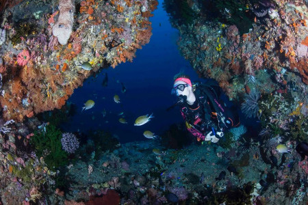 Fun dives packages - Scuba Froggy Lombok