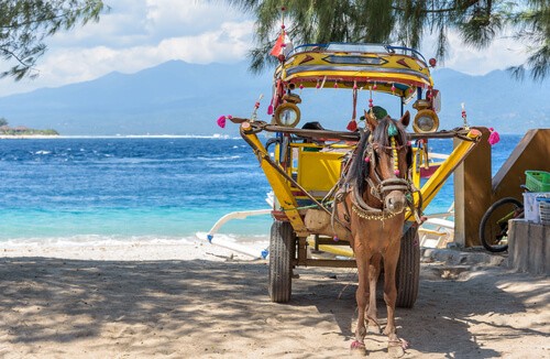 horse carriage gili trawangan