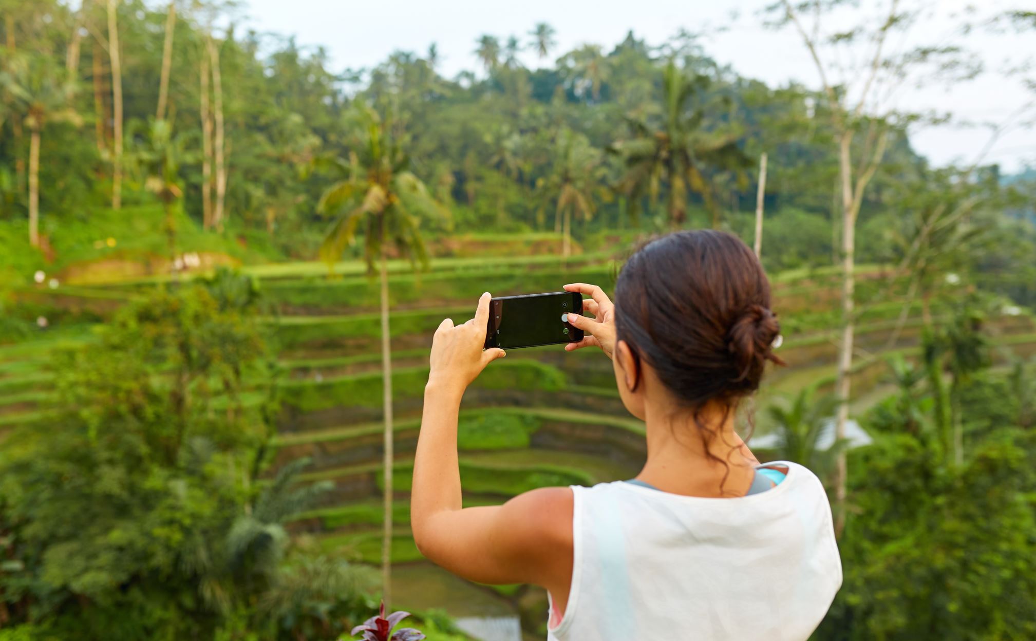 Phone in Bali