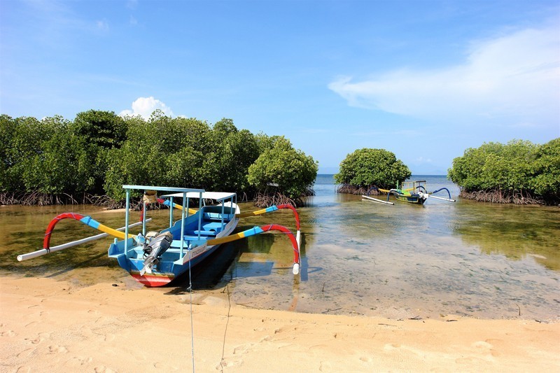 nusa lembongan mangrove forest